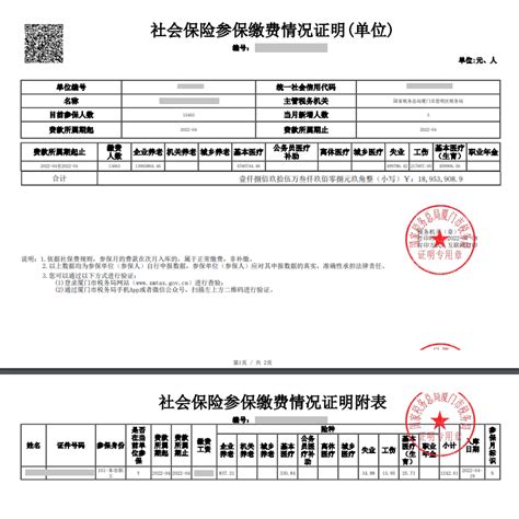 北京社保代缴可开收入证明的公司
