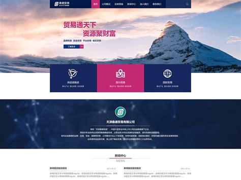 北京贸易网站优化