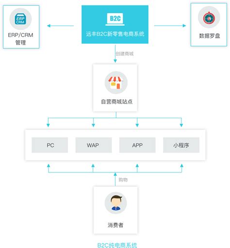 北京b2c商城系统项目