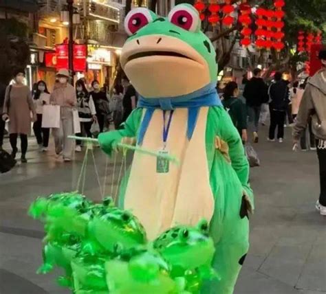 卖崽青蛙被城管拦截原视频