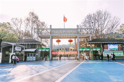 南京红山动物园门票