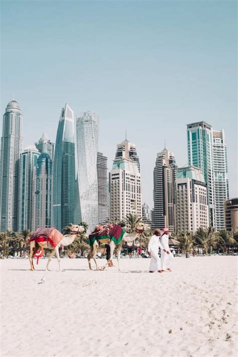 卡塔尔 游客