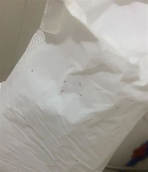 卫生巾里面发现虫子