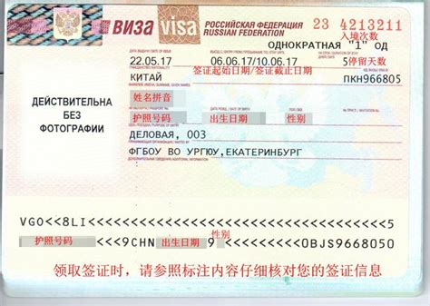 去俄罗斯的签证图片大全最新
