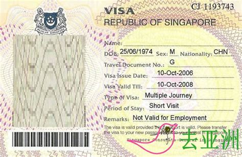 去新加坡的签证在哪里申请