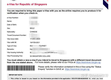 去新加坡需要多少资产证明