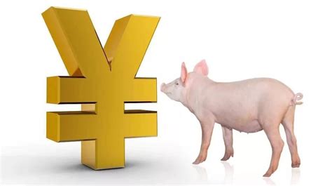 发改委预计猪价或延续低位运行