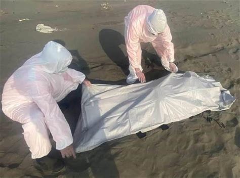 台湾发现大批浮尸