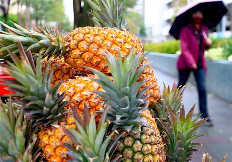 台湾的菠萝卖啥价钱