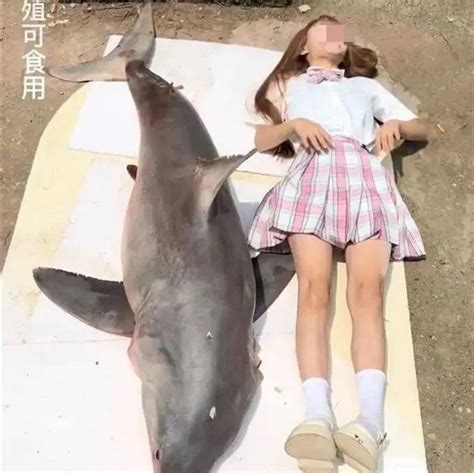 吃大白鲨被判两年的网红