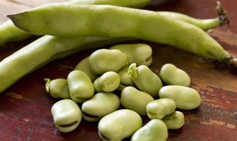 吃蚕豆对人身体有什么好处呢