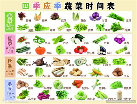 各种蔬菜的种植时间