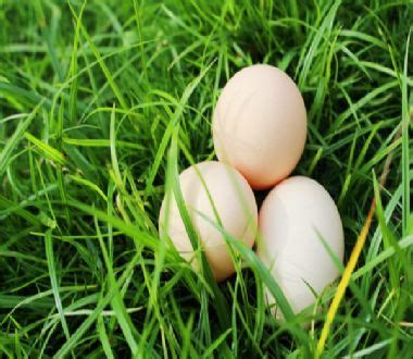 周公解梦我捡了很多鸡蛋