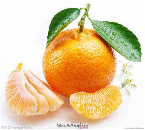 周公解梦梦到一堆橘子