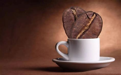 咖啡丙烯酰胺来源