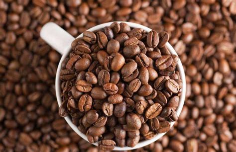 咖啡豆怎么弄成咖啡喝