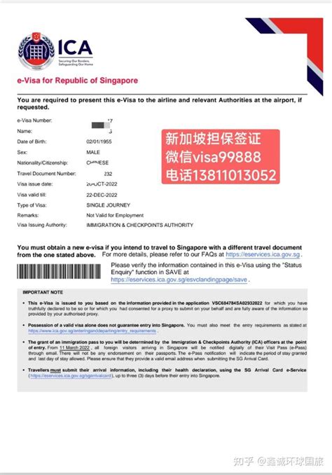 哪些签证可以去新加坡做保姆