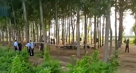 唐山树林发现2人遇害