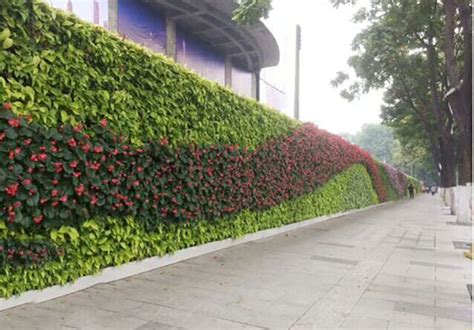 四川墙面绿化立体花坛造价
