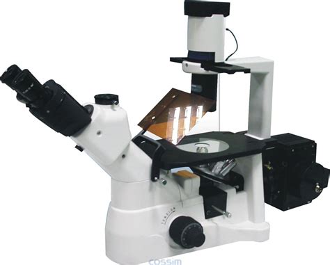 国产生物荧光显微镜价格
