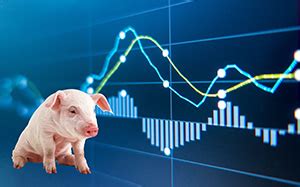 国外机构预测猪价