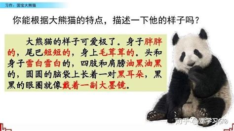 国宝大熊猫作文