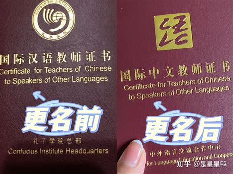 国际中文教师有哪些证书