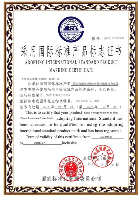 国际标准合格证书