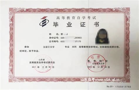 国际汉语言文学毕业证
