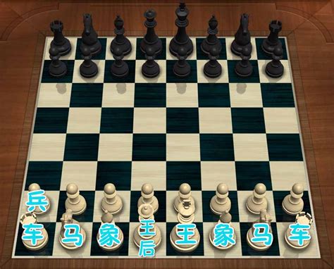 国际象棋的规则和走法图解