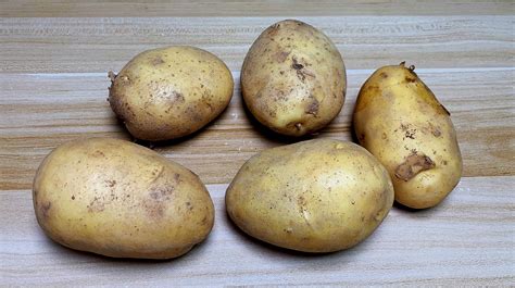 土豆怎么起名