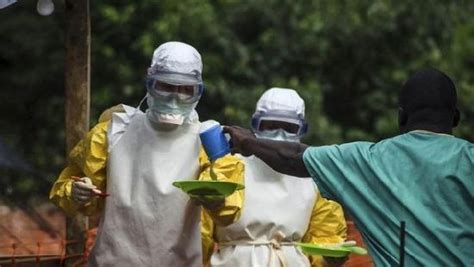 埃博拉病毒会在中国爆发吗