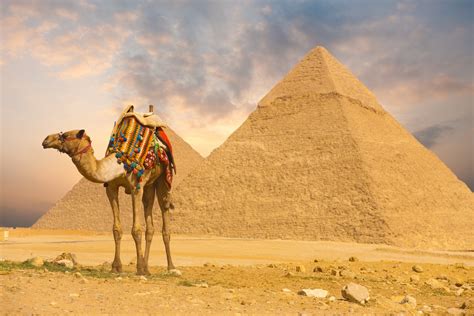 埃及胡夫金字塔的资料