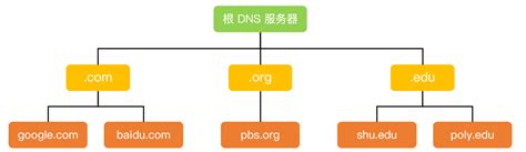 域名服务器层次结构分析