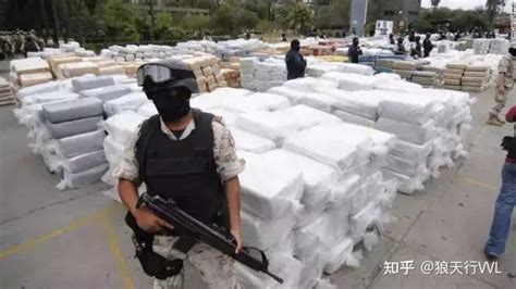 墨西哥毒贩为什么这么猖狂