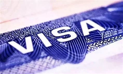外籍华人回国长期签证