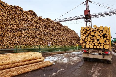大冶木材批发市场