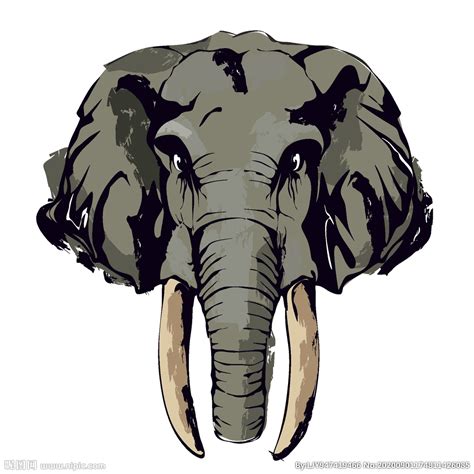 大象设计design