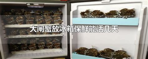 大闸蟹放冰箱能活几天