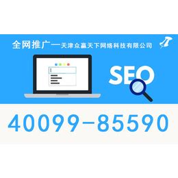 天津专业网站优化价钱表