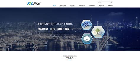 天津大型网站建设指导公司