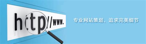 天津网站推广运营方案