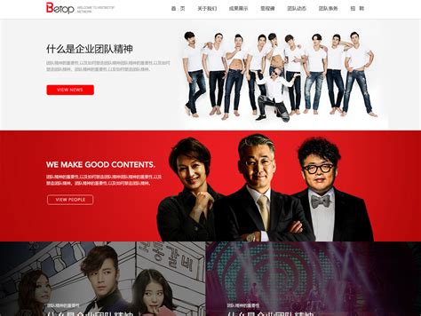 天津网站设计团队
