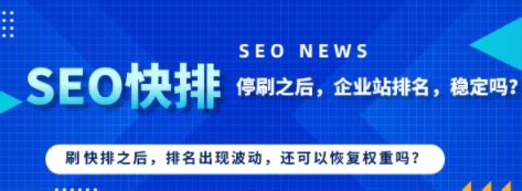 天津seo快速排名优化服务公司