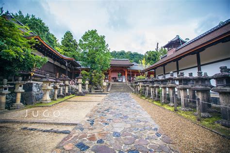 奈良免费旅游攻略