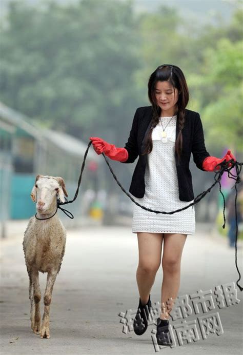 女人丢手机牵羊