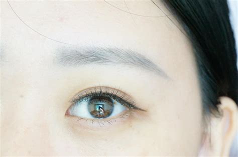 女人眉毛最旺的三种眉形