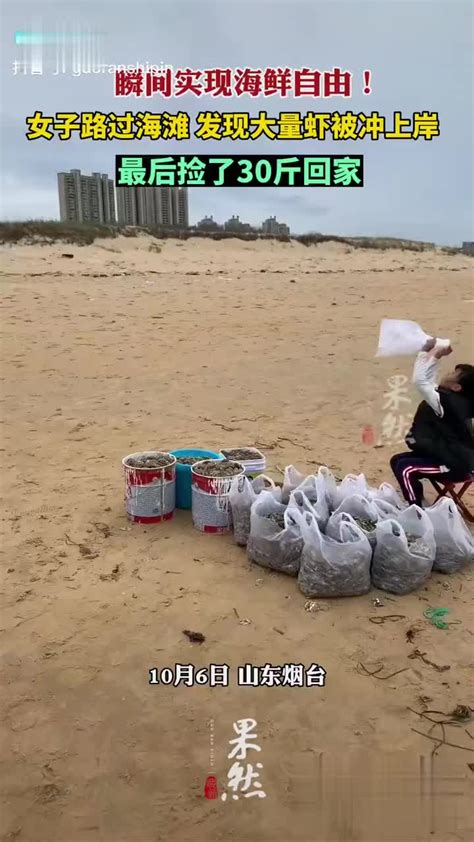 女子从海滩捡虾回家