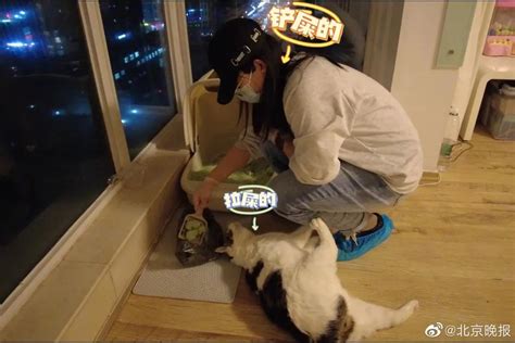 女子帮忙上门喂猫