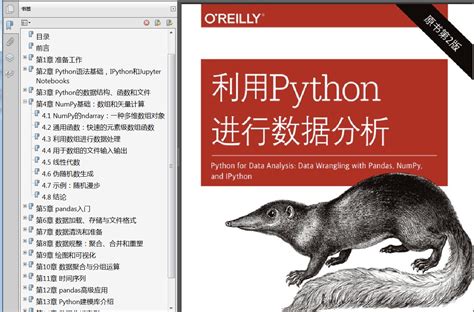 如何利用python进行网站开发